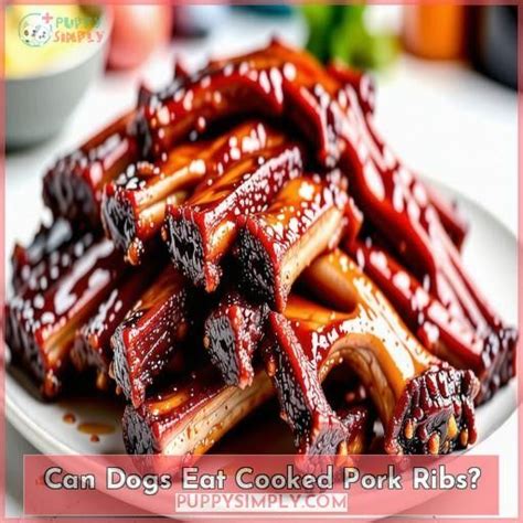 can a dog eat cooked pork bones|can dogs eat spare ribs.